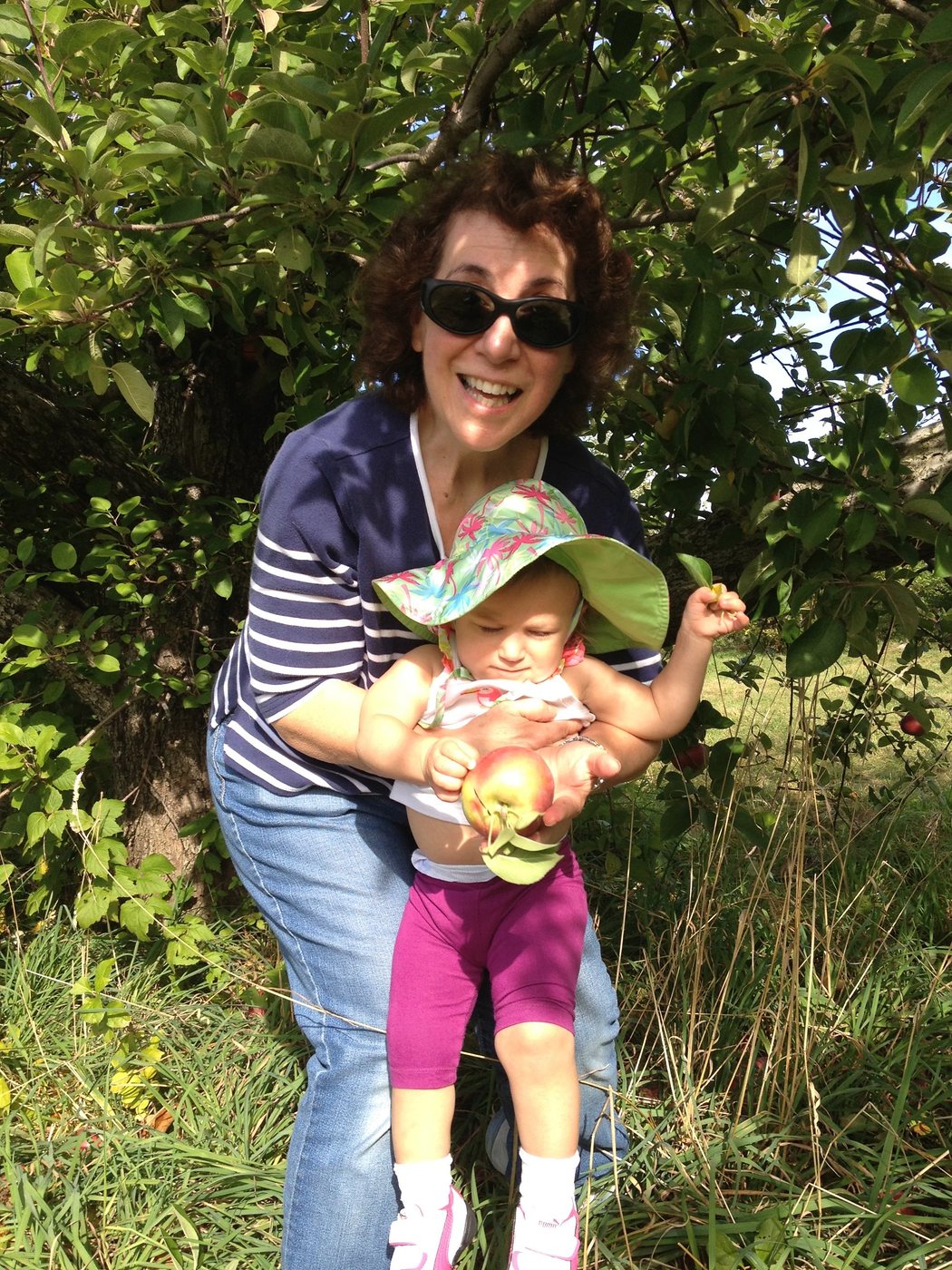 A woman holding a toddler in a sun hat while picking apples under an apple tree at Dowse Orchards