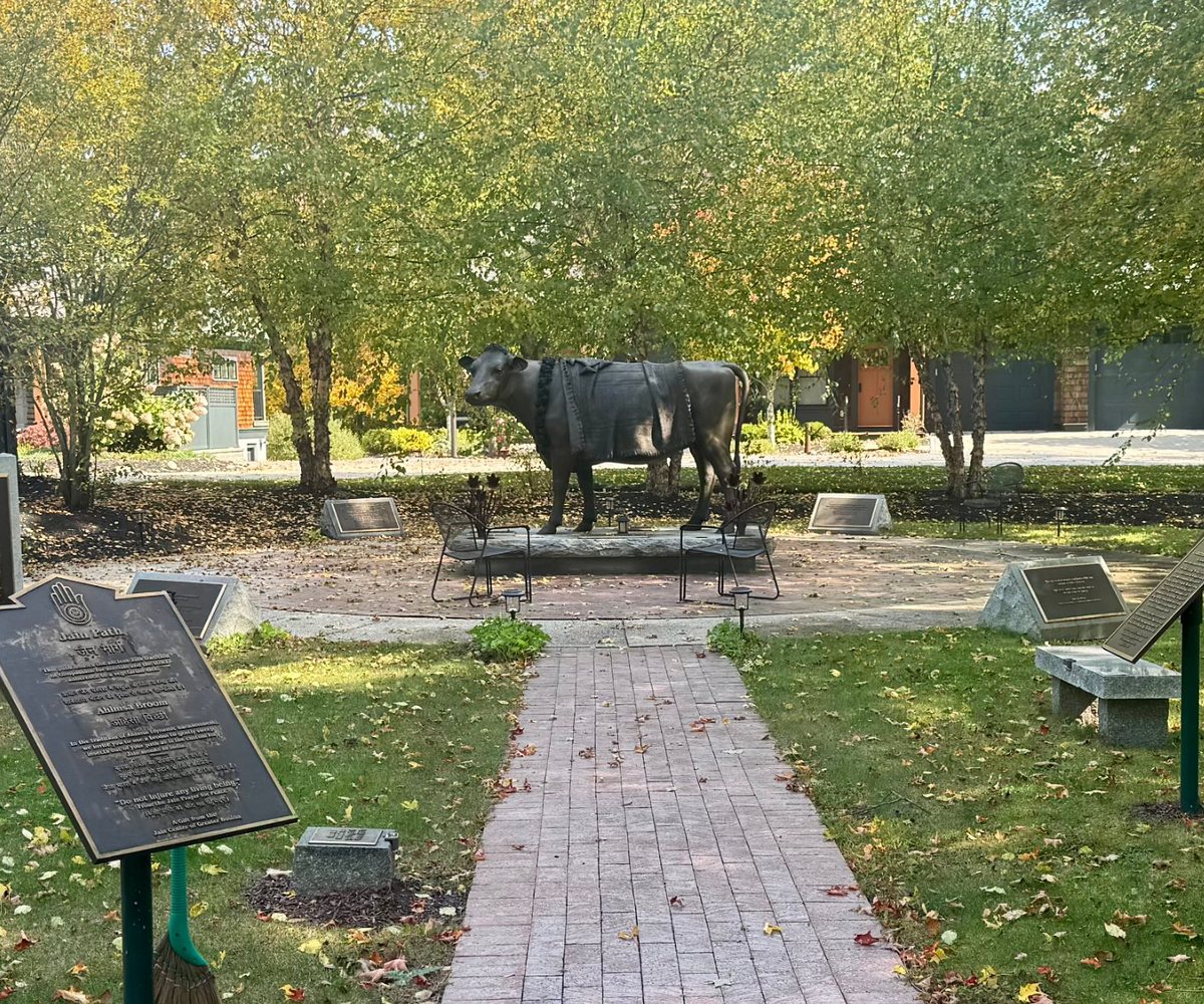 A life-size bronze statue of Emily the cow, draped in a blanket and garland, at her grave site in Peace Memorial Park