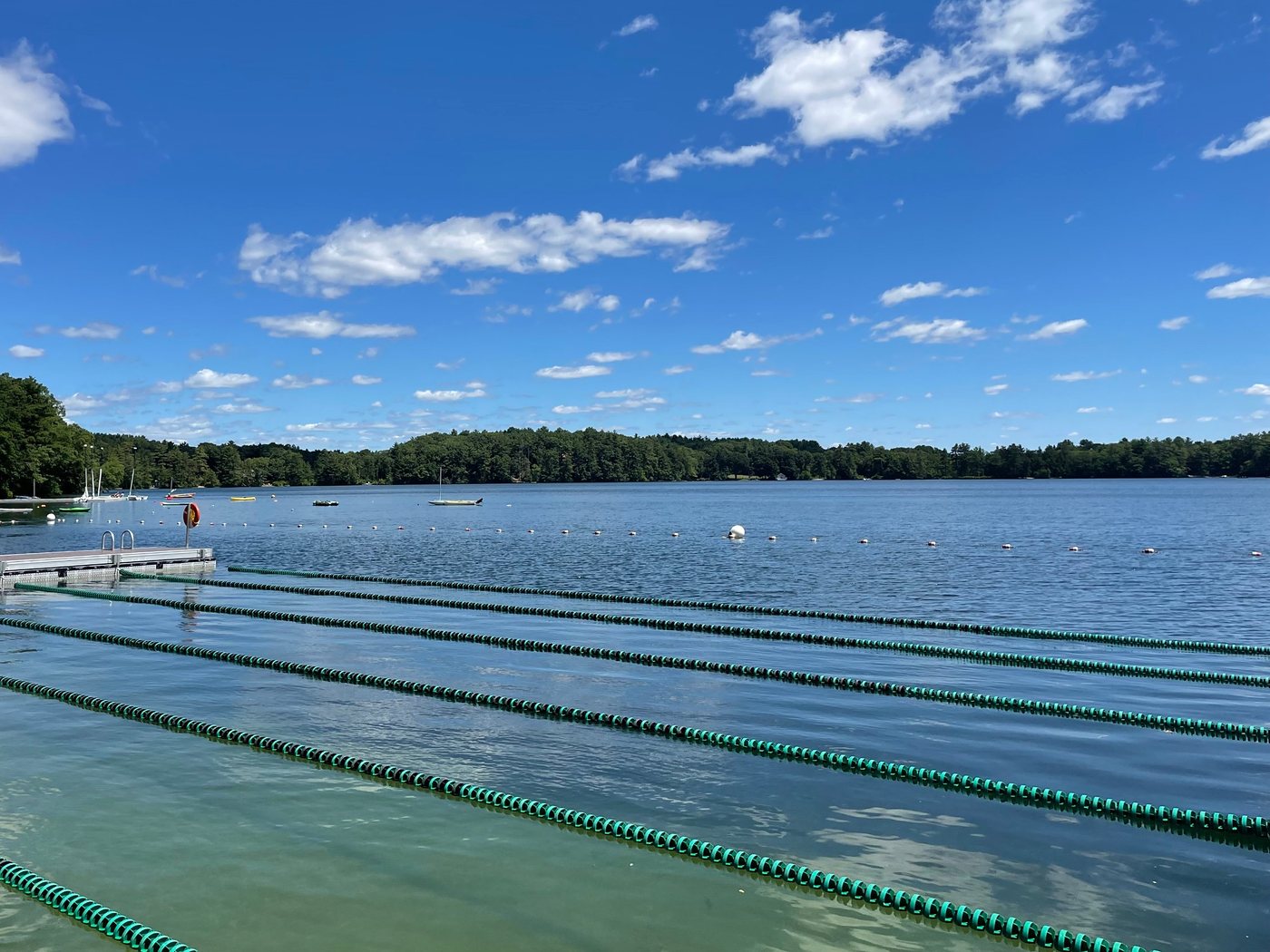 Swimming lanes, a dock, and sailboats at Farm Pond on a summer day