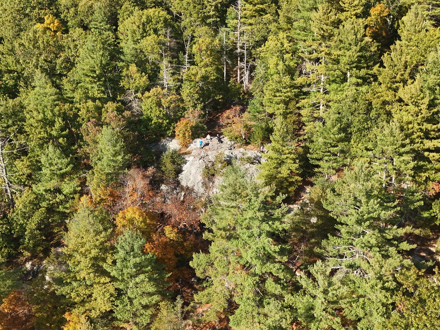 Aerial view of King Philip’s Overlook, a bare granite ledge surrounded by pine woods