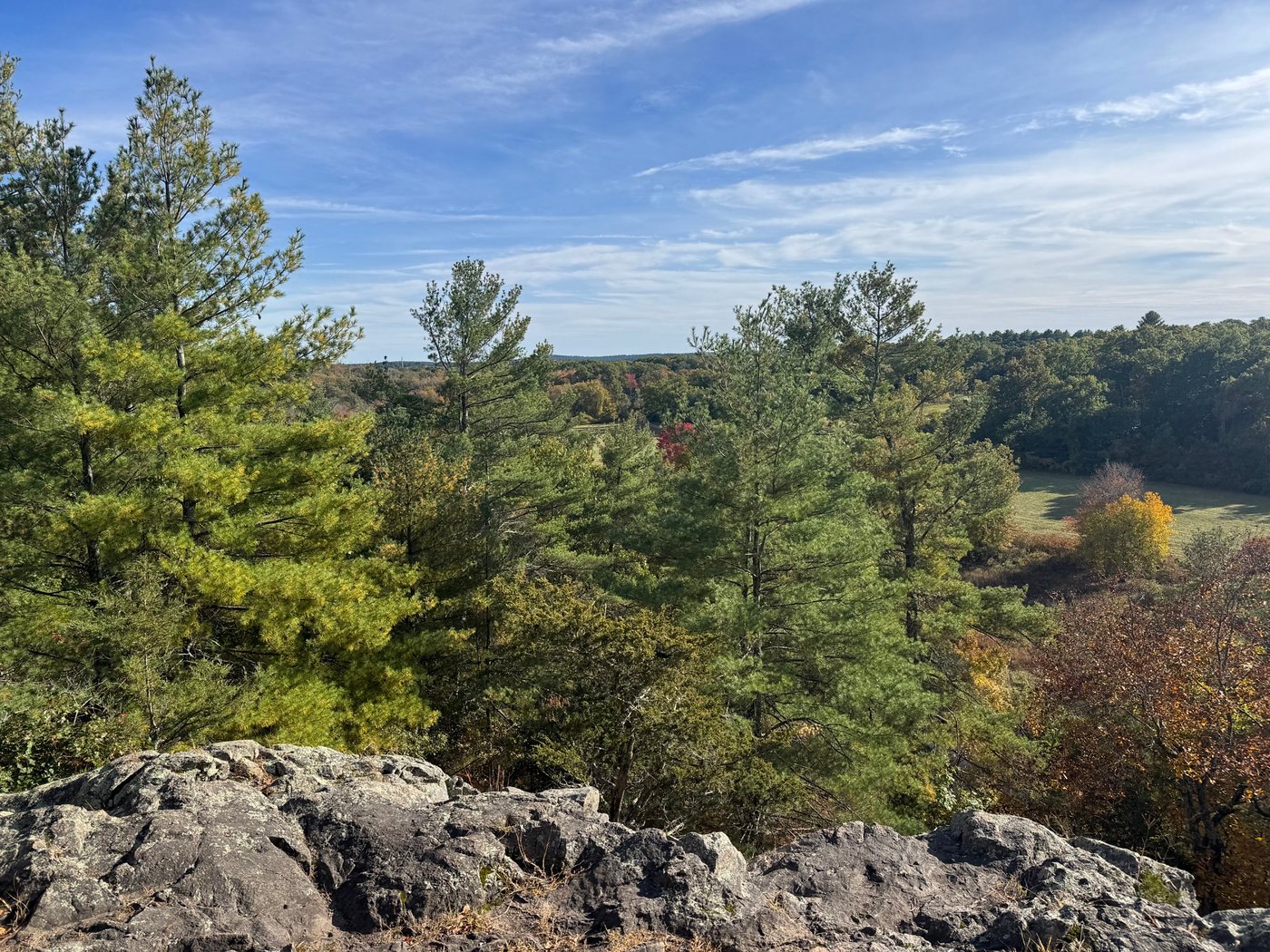 The view from King Philip’s Overlook in fall, with tall pines, a rocky granite ledge, and fields and woods beyond