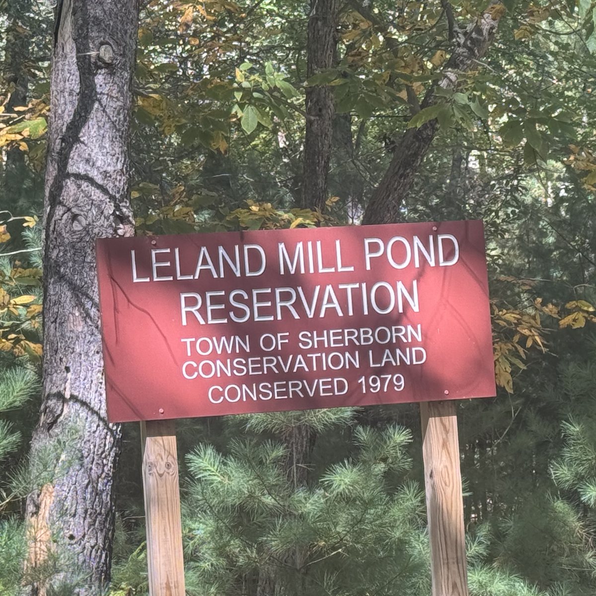 The Leland Mill Pond Reservation sign, Town of Sherborn conservation land, conserved 1979