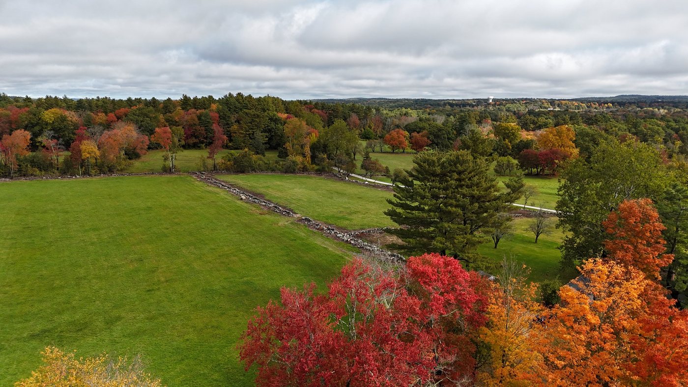 Red and orange maples above a Millborn Farm hay field, with an old stone wall running across the field toward the woods