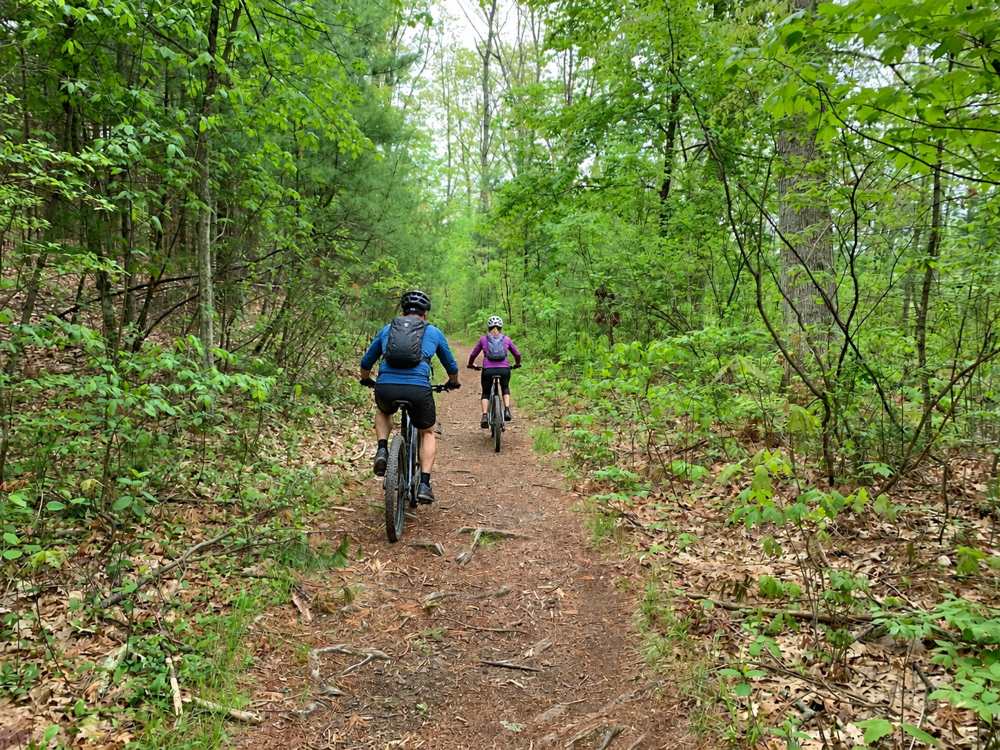 Two mountain bikers riding a wooded singletrack trail in Sherborn