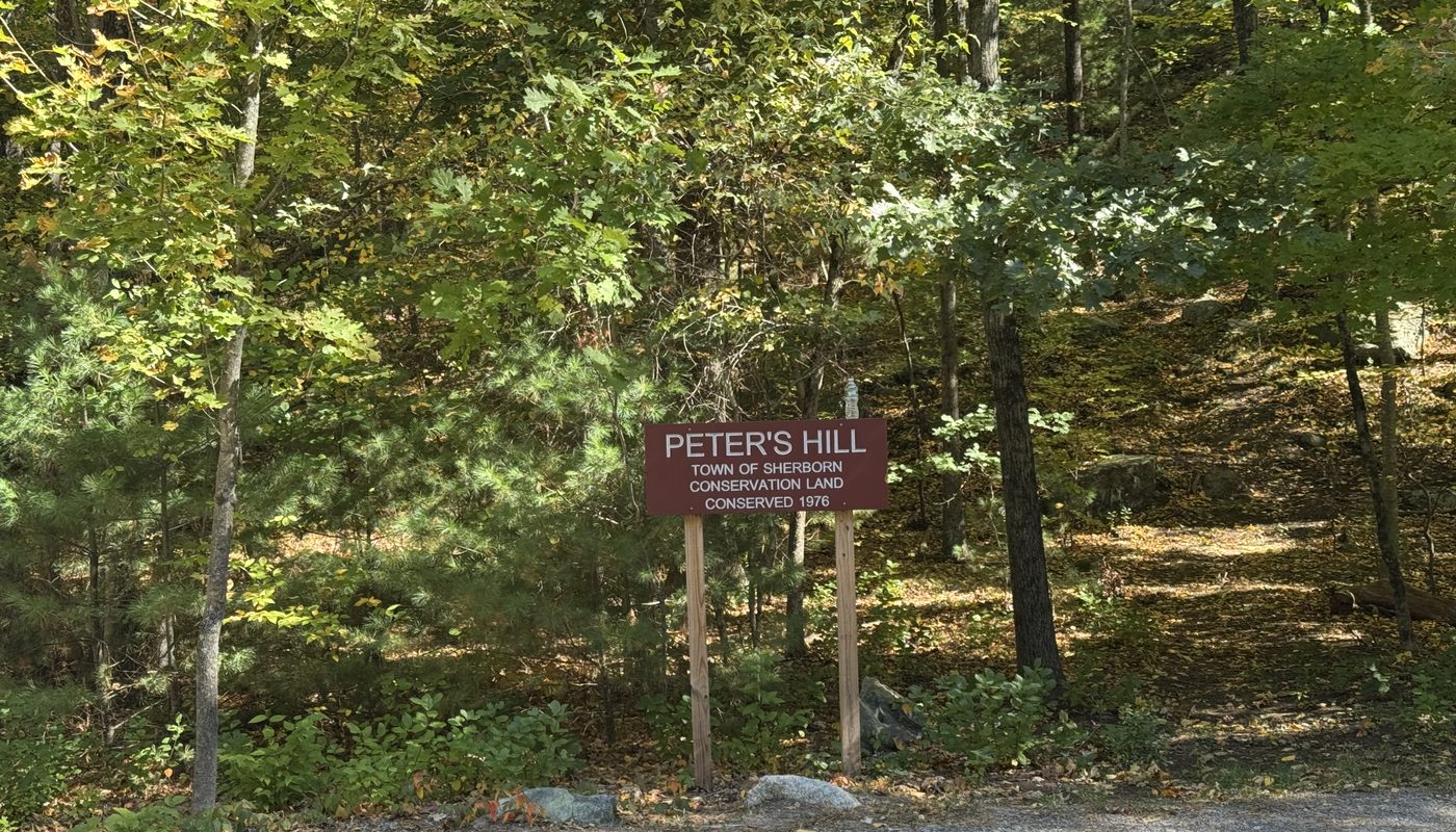 The Peter’s Hill sign, Town of Sherborn conservation land, at the edge of the woods where a leafy trail climbs the hill