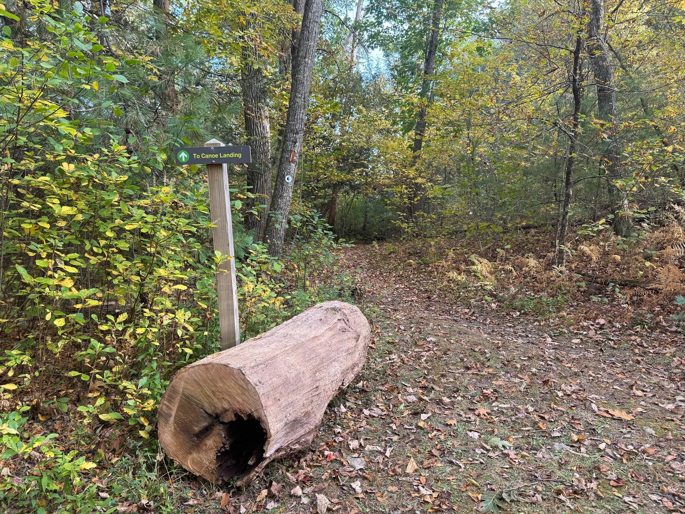 A trail sign at Rocky Narrows pointing to the canoe landing, beside a fallen log