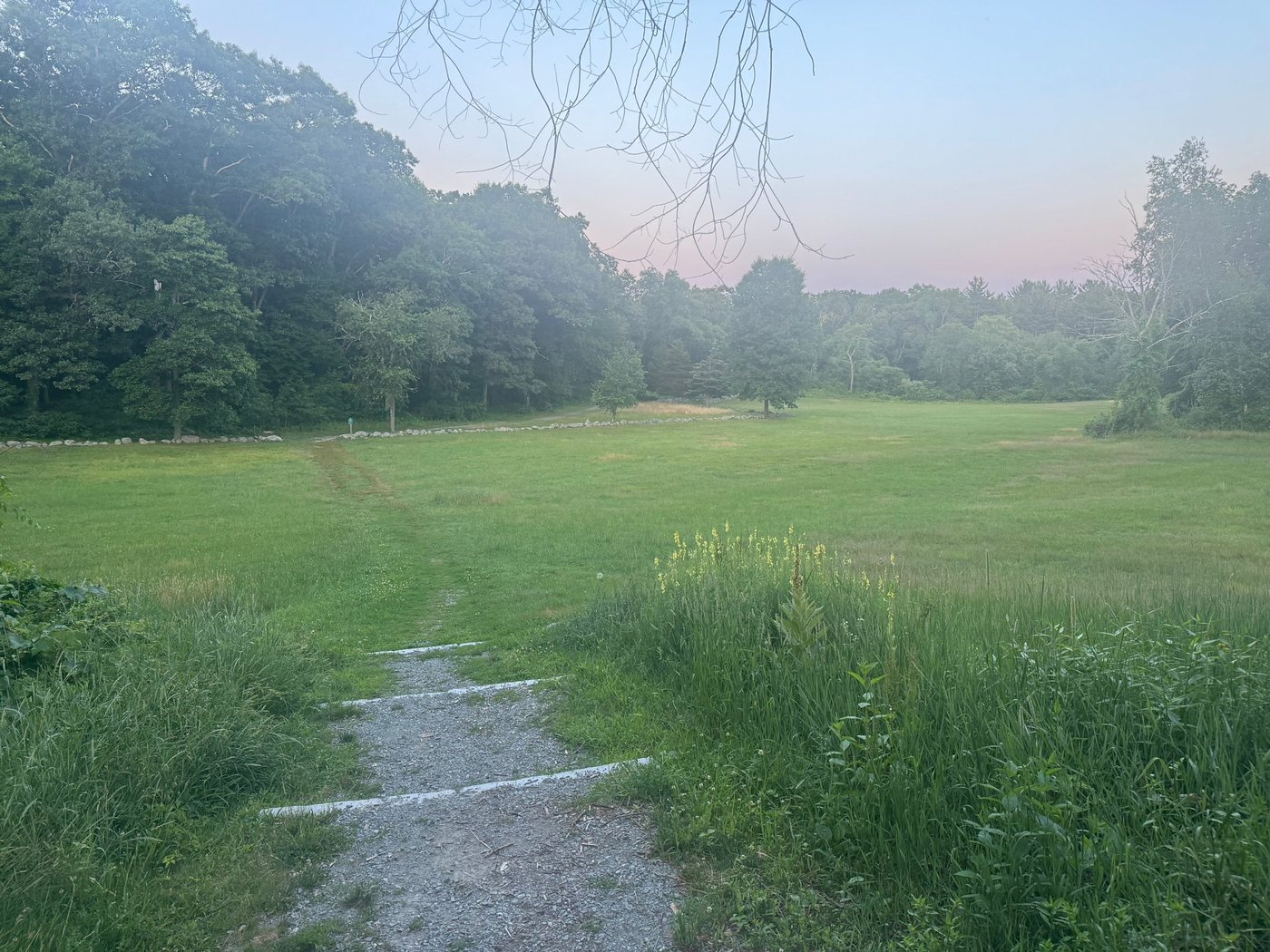 The Rocky Narrows meadow under a pink and blue dusk sky