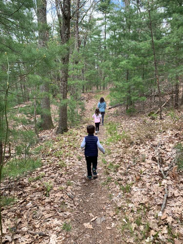 Children walking ahead on a wooded Sherborn Town Forest trail
