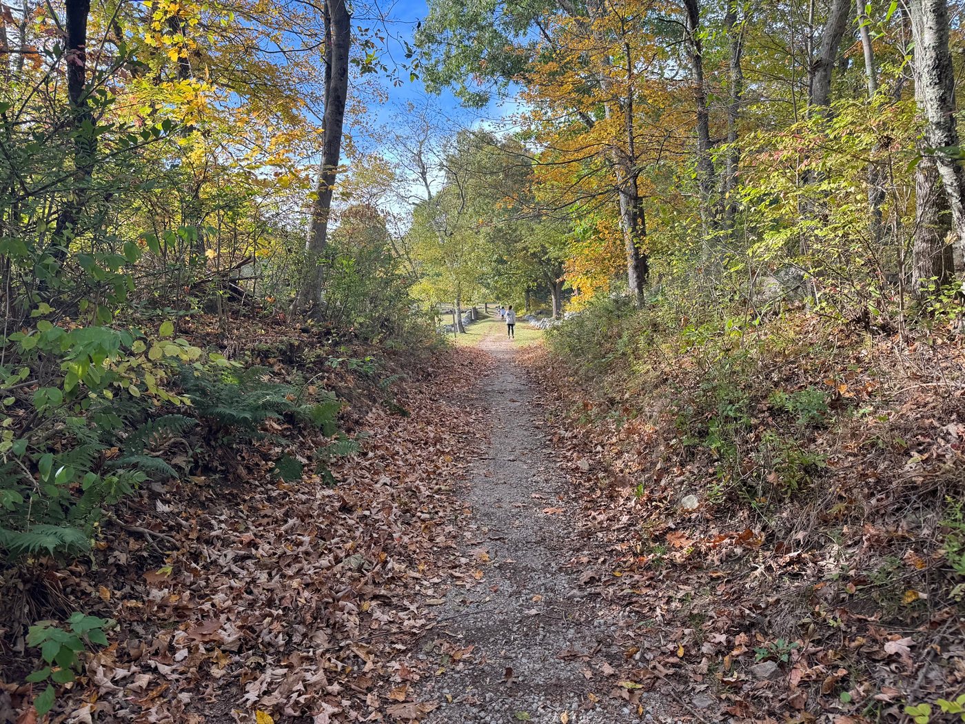 A wide gravel path through fall woods at Rocky Narrows