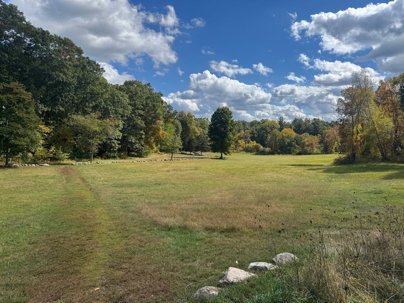 The open meadow at Rocky Narrows under a blue sky with puffy clouds, with an old stone wall and early fall color along the tree line