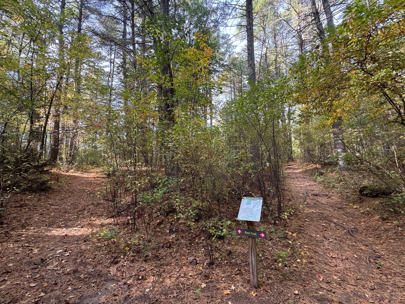 A fork in a wooded Rocky Narrows trail in fall, with a trail map sign and Red Trail arrows