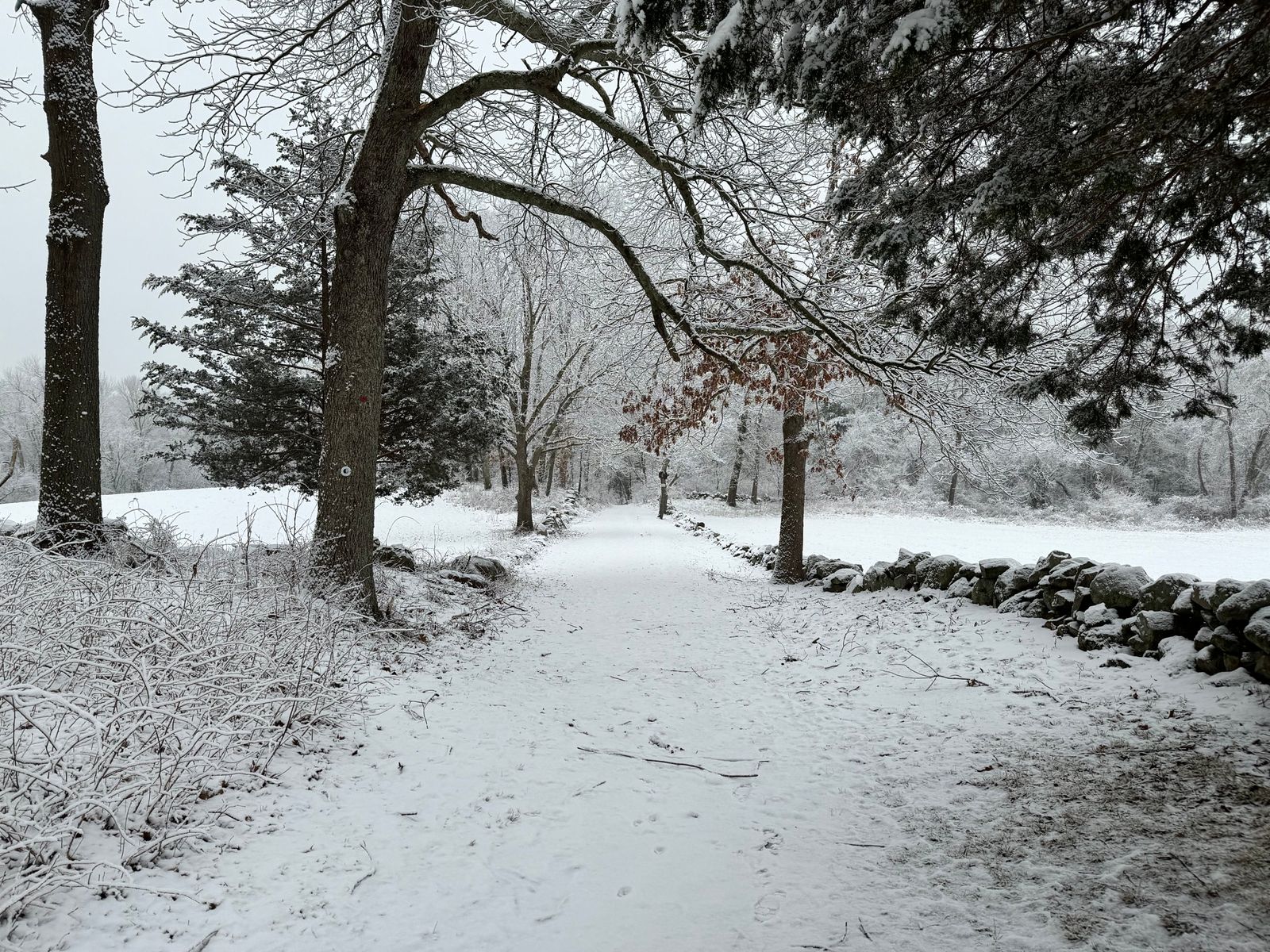 Snow-covered trail bordered by a stone wall