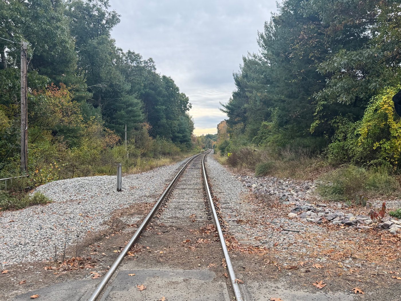 Railroad tracks running straight through the woods in Sherborn under a cloudy fall sky