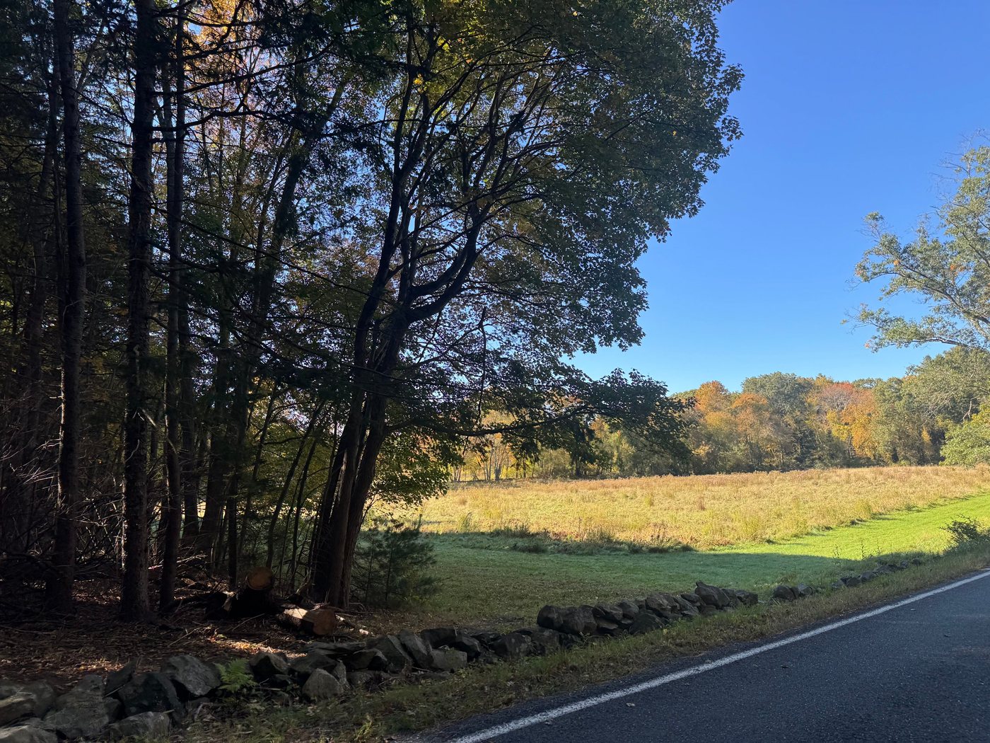 A low stone wall along a Sherborn road, with an open meadow and fall trees beyond under a blue sky