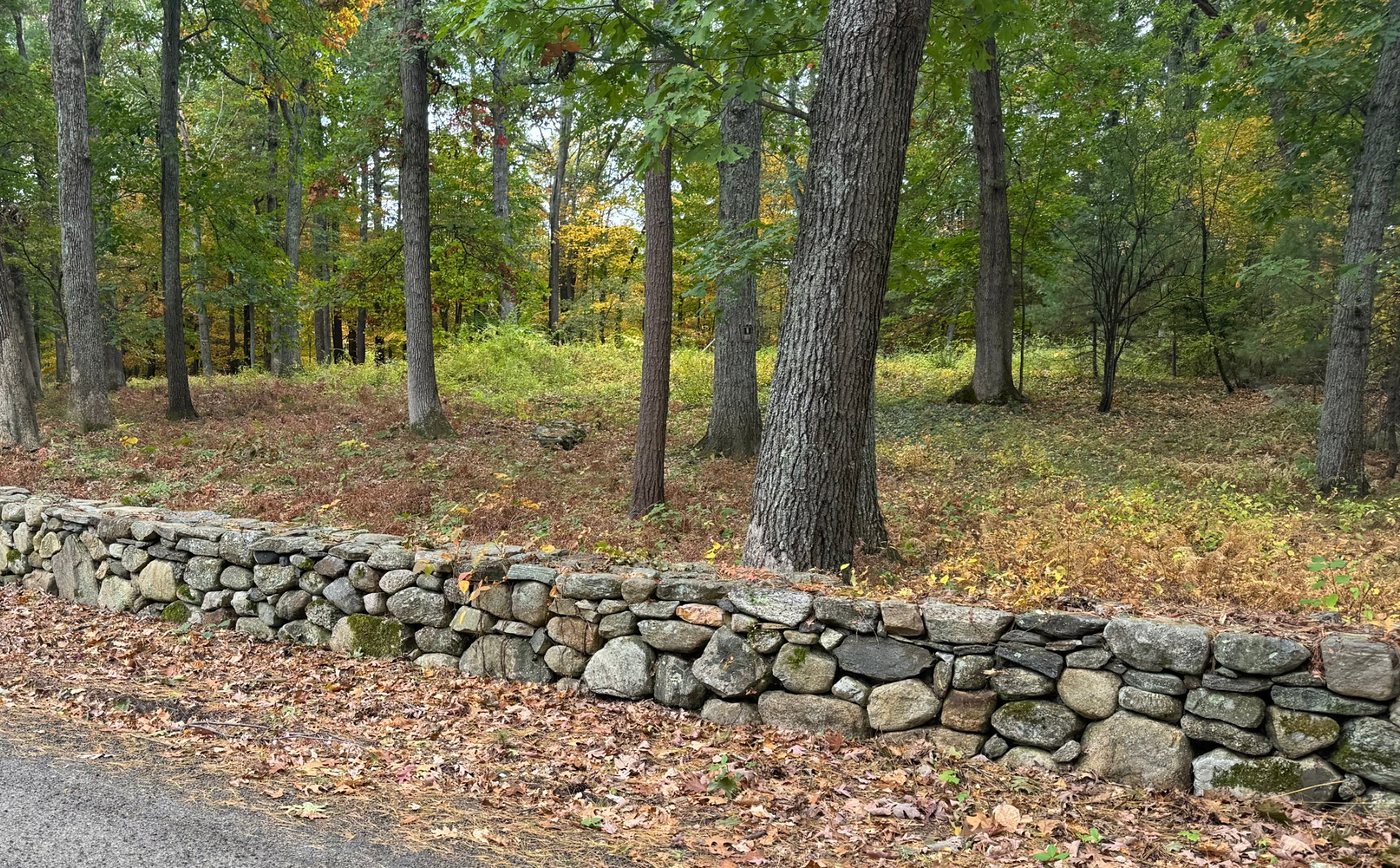 A carefully laid fieldstone wall along a quiet Sherborn road, with mossy stones and fall leaves, backed by tall oaks and pines