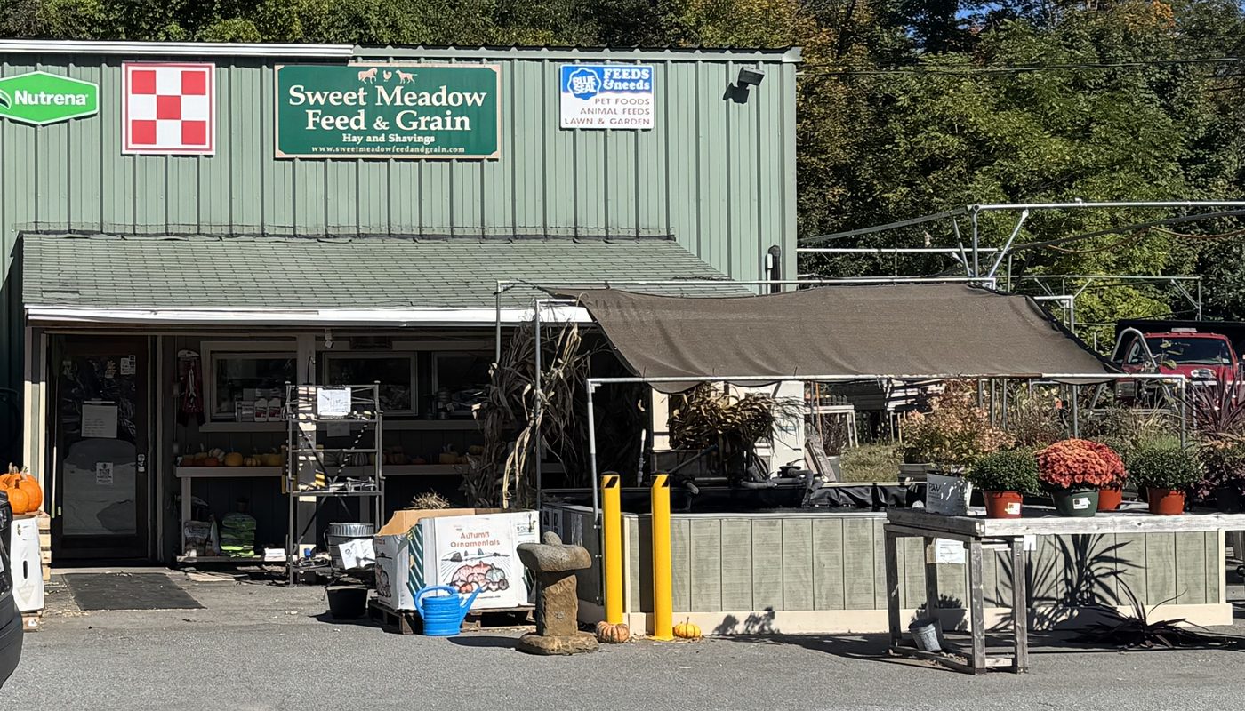 The Sweet Meadow Feed & Grain store, a green metal building with pumpkins, mums, and garden plants out front