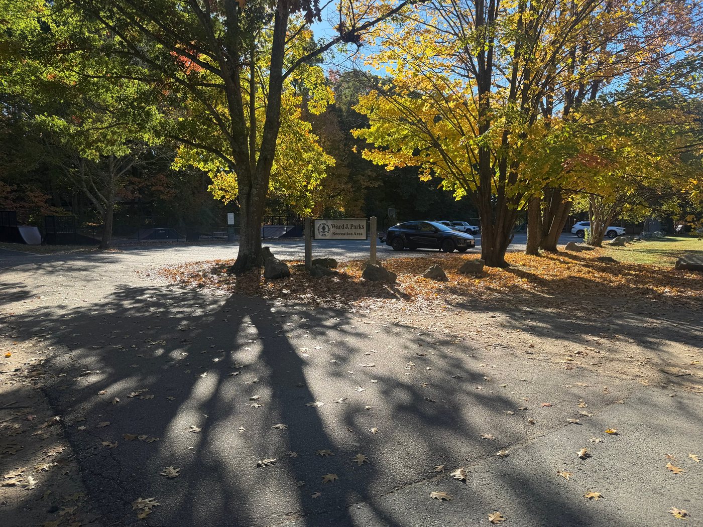 The Ward J. Parks Recreation Area sign at the Cemetery Lane parking lot, under fall maples
